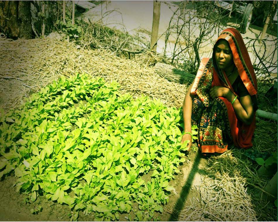 Good Farming Good Food